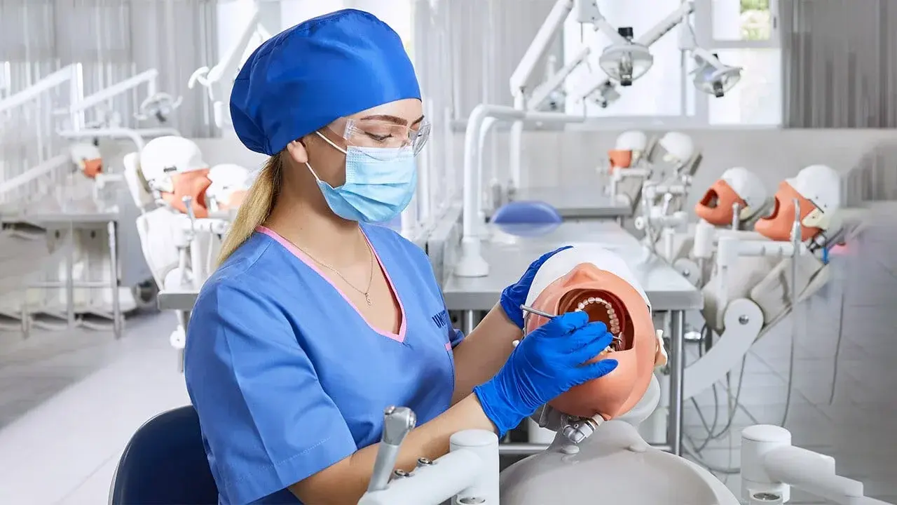 Estudiante de carrera de odontología UNITEC revisando la dentadura de simulador de paciente