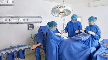 licenciatura en enfermería