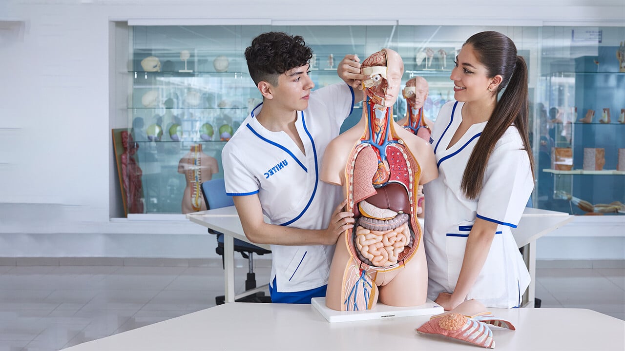 Alumnos de enfermería estudiando el cuerpo humano