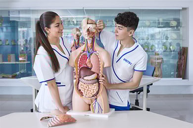 Laboratorio de Estructura y Función