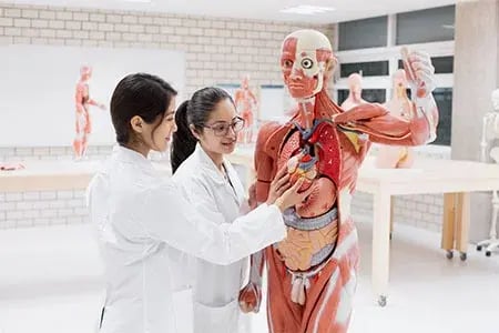 instalaciones-fisioterapia-d