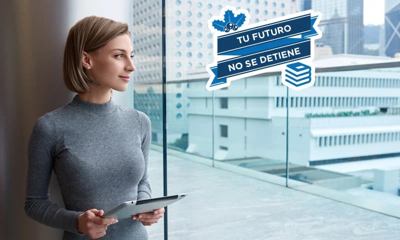 campana-decembrina-unitec-maestrias