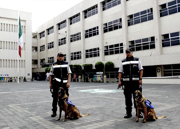 Seguridad UNITEC