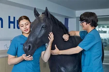 instalaciones-medicina-veterinaria-a