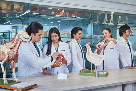 instalaciones-medicina-veterinaria-c