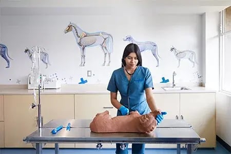 instalaciones-medicina-veterinaria-d