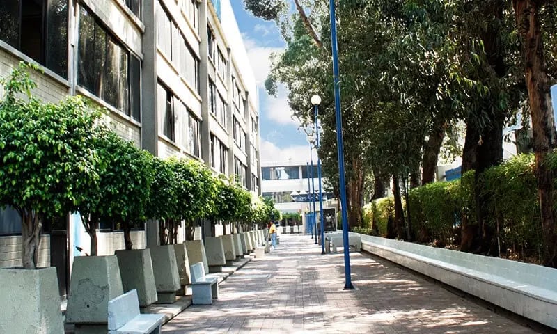 unitec-campus-cuitlahuac-carrusel-3-h
