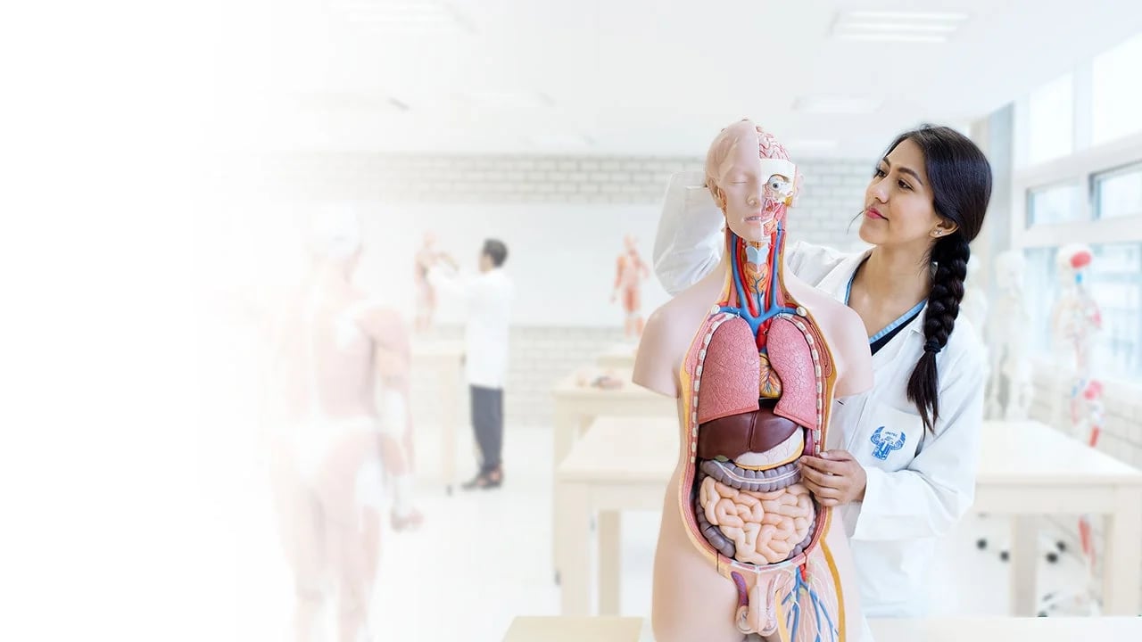 LICENCIATURAS EN SALUD
