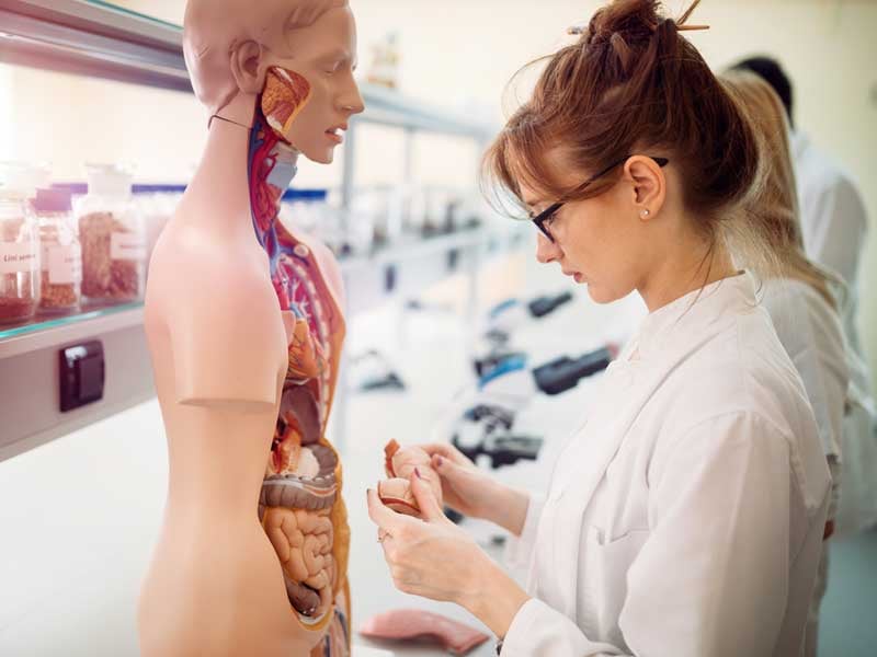 Carrera de medicina: conoce todo lo que implica estudiarla