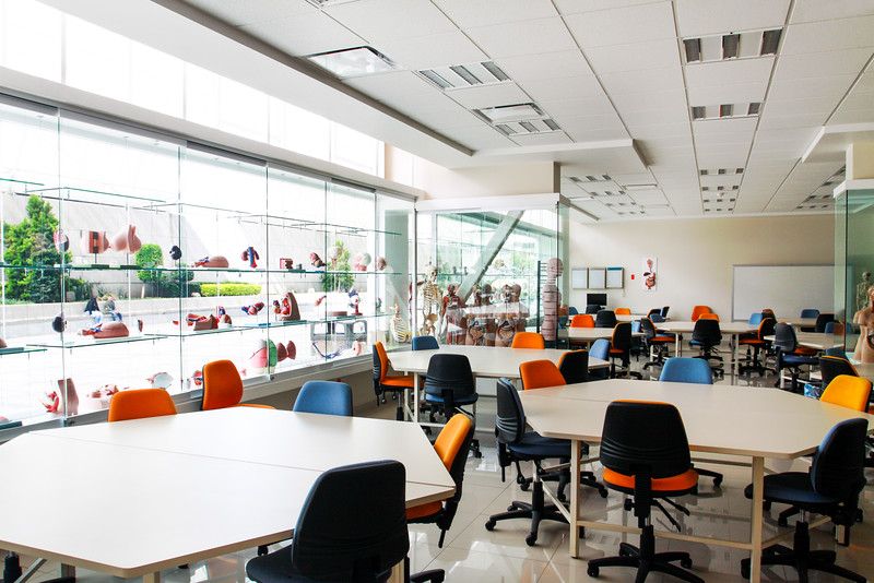 laboratorio-de-estructura-y-funcion-unitec-1-Dec-17-2022-09-33-27-3116-PM