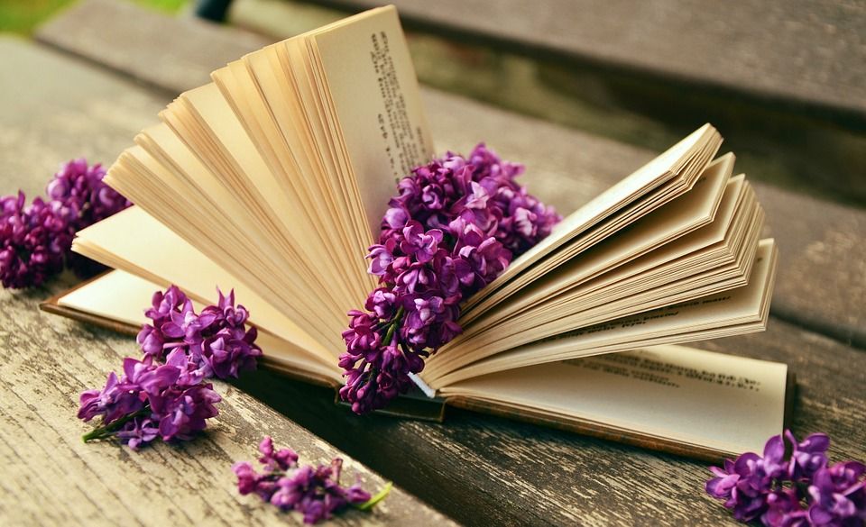 libros-de-escritores-mexicanos-que-debes-leer-en-tu-vida3-compressor