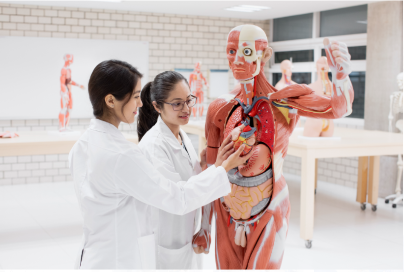 razones-para-estudiar-una-carrera-en-ciencias-de-la-salud-en-la-unitec-6-Dec-17-2022-09-02-25-9045-PM