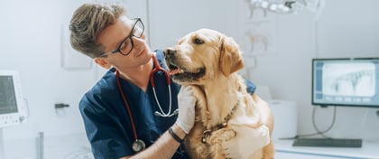 Licenciatura en Medicina Veterinaria