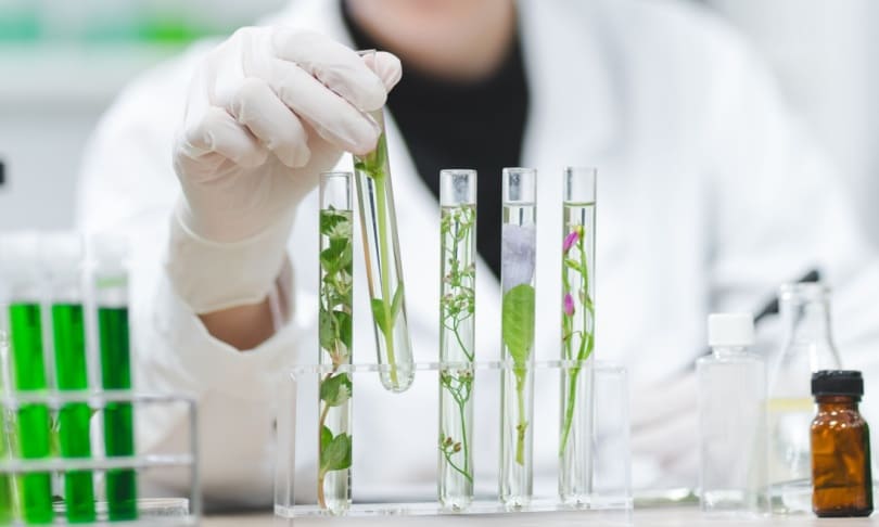 La importancia de la generación de vacunas en la Biotecnología