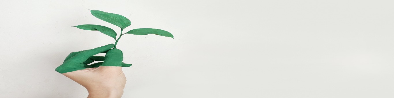 conoces_la_estrella_verde_michelin_banner