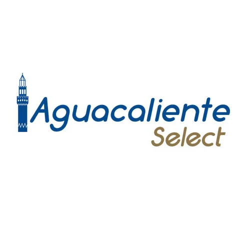 portada galeria AUTOBUSES AGUACALIENTE SELECT