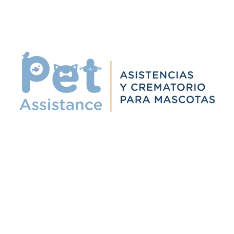 portada galeria PET ASSISTANCE