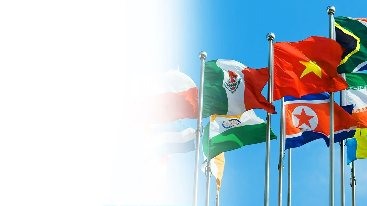 Programas Internacionales