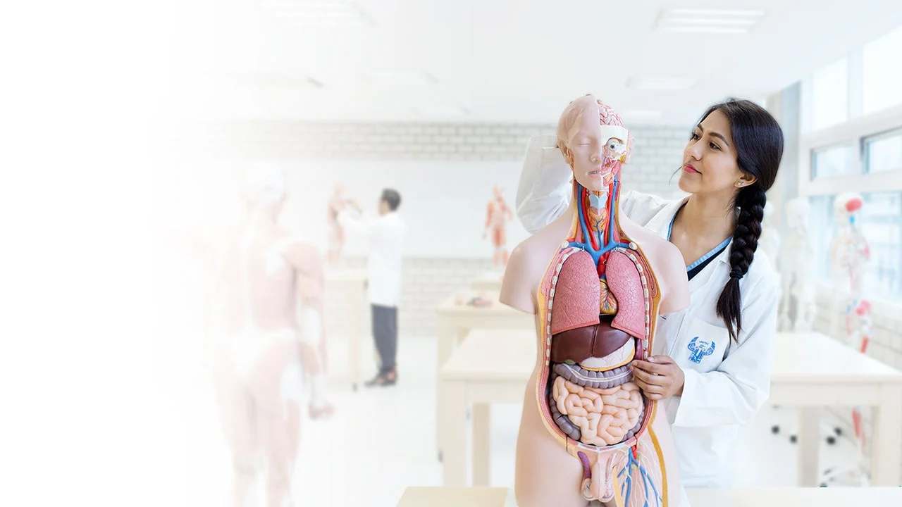 LICENCIATURAS EN SALUD