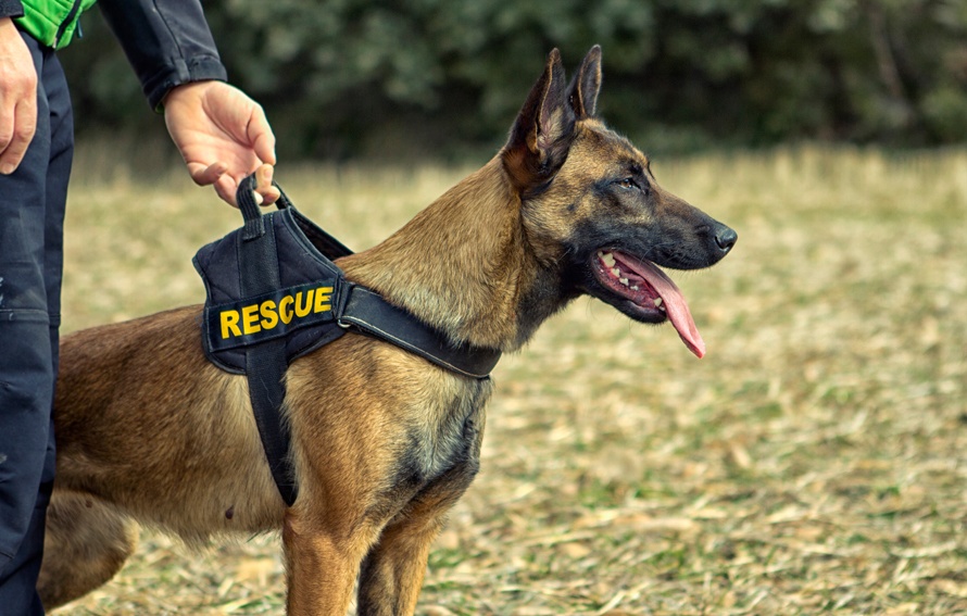 5-puntos-clave-para-elegir-una-prepa-de-calidad-6